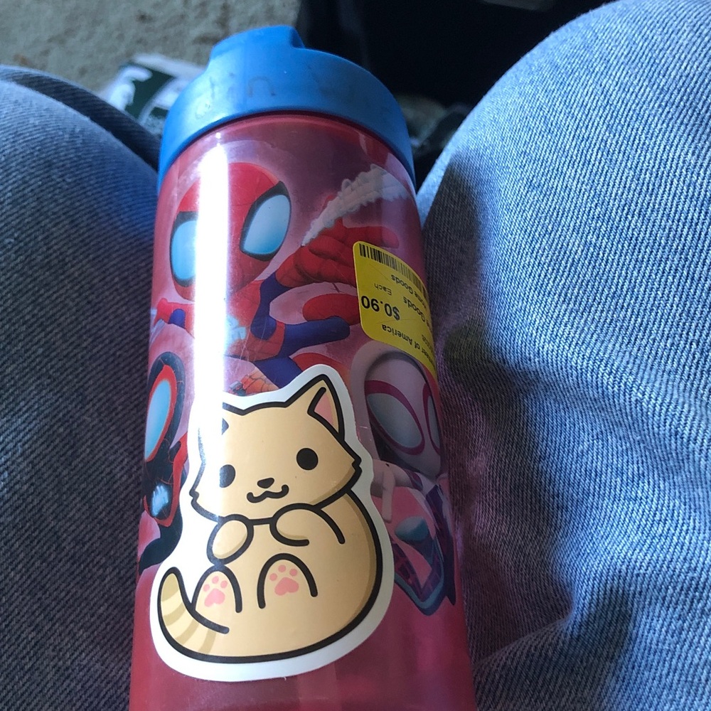 Marvel Pink Cat-Graphic Kids Bottle with Blue Lid